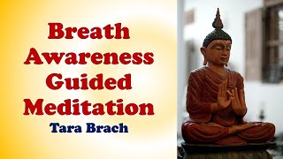 Breath Awareness Guided Meditation 15 min - Tara Brach