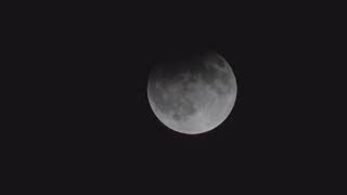 Peak Partial Lunar Eclipse