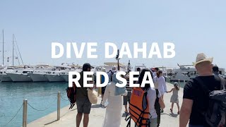 4k Waking Diving Sharm El sheikh, Red Sea ,Cairo Egypt 2021  with no copyright music 埃及红海沙姆沙伊赫潜水