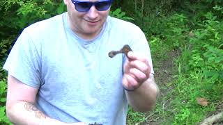 Magnet fishing at a local stream in Bucks County Pa