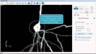 Neurolucida 360: Detect and edit somas in 3D (v.2.x)