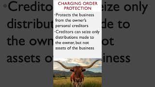 TX now gives charging order protection to single-member LLCs.