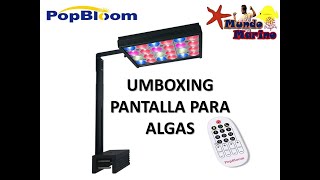 UNBOXING PANTALLA POPBLOOM - REFUGIO DE ALGAS