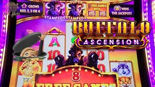 $240 In Free Play On Buffalo Ascension - Can We Trigger A Big Bonus?