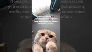 На что не пойдешь ради рыбов))) Ссылка в шапке профиля как обычно👌🏻 СТАРТ 18 ПОТОКА 3 АПРЕЛЯ🔥🔥