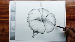 Hibiscus flowers Drawing @VipulSwamiArts