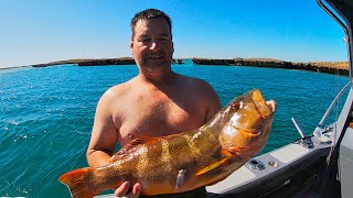 LIVING THE DREAM!!! SPEARFISHING AND FISHING REMOTE NORTH WA! (IZS ep.29)