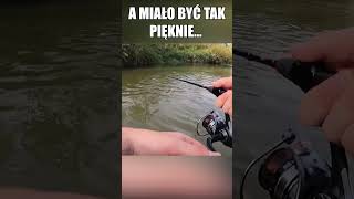 Życie wędkarza #wędkarstwo #ryby #fishing #spinning #rzeka #pstrągi #natura