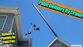 Plant Delivery By Crane and Planting Tropical Flowers & Annuals || Saturday Vlog