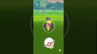 How to Beat Team Rocket Go Bug Type Grunts | Shadow Kakuna Encounter