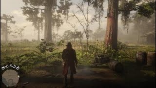 Red Dead Redemption 2 - Arthur's first TB cough