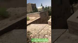 زیارت بزرگ هرات شهزادها #afghanistan #هرات #viral #shorts