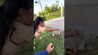 Cute rabbit 🐰 feeding by Susanna #youtubeshorts #mydubai #baby #rabbit #feeding #foryou #cutebaby