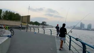 What people do under Al Maktoum Bridge, Dubai, UAE || crossing Al Maktoum Bridge by foot