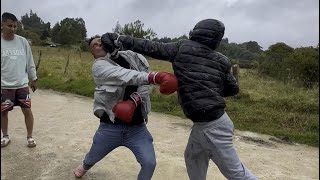 Cómo están de moda la peleas de box estos días, les presentamos “Stream Fighters Trucks” jajajajaja