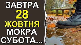 ПОГОДА НА ЗАВТРА: 28 ОКТЯБРЯ 2023 | Точная погода на день в Украине