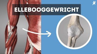 Ellebooggewricht: De verschillende blessures!