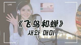 任然 임연 《飞鸟和蝉 새와 매미》 韩语版｜중국노래 한국어버전 LIVE｜ Cover By 韩国欧尼蔚蔚한여울