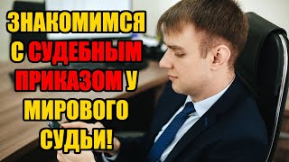 Как ознакомиться с судебным приказом и делом у мирового судьи в 2024 году?