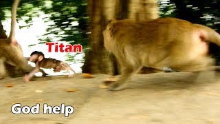 GOD HELP !! Ginger drag baby Titan long distance collapse many round,Tara tries hard to help Titan