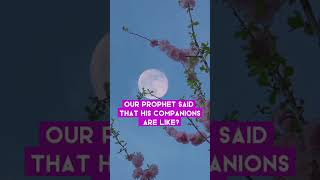 Our Prophet said that His companions are like ? #islamicgk #islamicgkknowledge #shortvideo