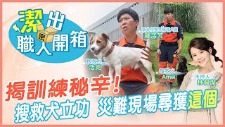 【潔出職人開箱】花蓮地震.太魯閣事故都有牠! 揭秘搜救犬"狂聞.尾巴豎直"代表這件事?  @來去CHECKIN  @中天電視CtiTv