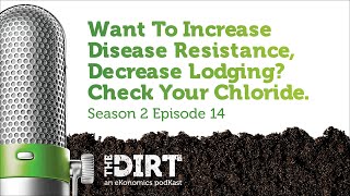 Want To Increase Disease Resistance, Decrease Lodging? Check Your Chloride.