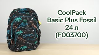 Розпаковка CoolPack Basic Plus Fossil 24 л 43x31x19 см (F003700)