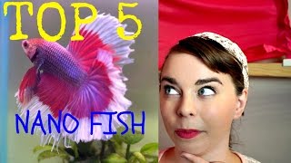 TOP 5 BEGINNER FISH FOR NANO TANKS | Freshwater