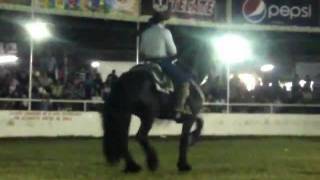 Caballos Bailadores en la Expo Ganadera Jalisco 2011