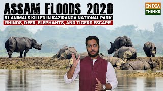 Animals Escape From Kaziranga National Park | Assam Floods | Karbi Anglong | Nishan Chilkuri reports