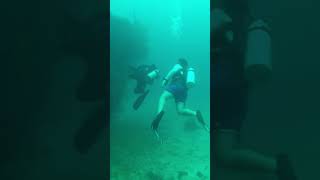 Underwater world! #shortvideo #travel #scubadiving #boracay #shorts #short