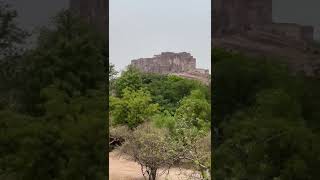 natural sound Koyal ka#rajasthan #marwadi #travel