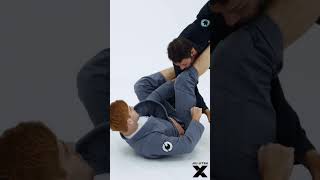 Jiujitsu techniques