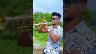 Mera pyar Shalimar | Trumpet #shorts