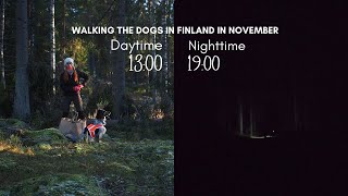 Cottage life in the Finnish forest: when it's dark, it's DARK! | Countryside vlog