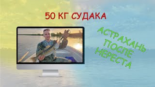 Астрахань летом! Рыбалка на реке Ахтуба и 50 кг судака!