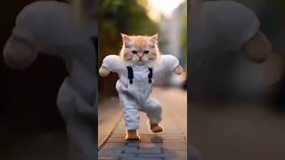 Kitten cat dance 🥰 #shorts #youtubeshorts #viralvideo #short