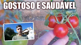 ESSE TOMATINHO CUSTA R$ 15,00 AQUI NA MINHA CIDADE