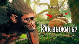 ГАЙД по ВЫЖИВАНИЮ в Ancestors The Humankind Odyssey! ТОП 69 Лайфхаков!