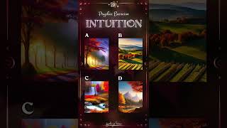 Which Image Have I Chosen? Intuition #2