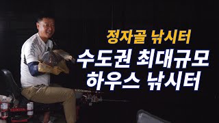 [낚시 왔구나2+9회] 장마철엔 하우스 낚시터에서 붕어낚시!! / 군포시 정자골 하우스 낚시터