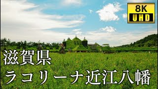 【8K】ラ コリーナ近江八幡の散策｜Walk around La Colina Omihachiman