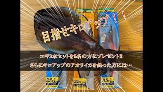 【プレゼント企画第2弾】アオリイカ キロアップを目指せ！エギ3本セットを5名の方にプレゼントします！さらにクオカードも！