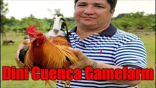 Lets Visit The Farm Of Dini Cuenca Gamefarm