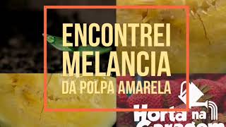 MELANCIA DE POLPA AMARELA, MAIS CROCANTE E MAIS DOCES