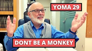 Yoma 29 Hidden Treasures - Don't be a Monkey - Rabbi Lapin on Daf Yomi