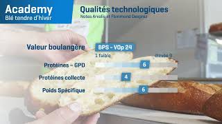 𝗔𝗖𝗔𝗗𝗘𝗠𝗬 🎓: Un Blé Panifiable Supérieur (BPS) à l’excellent profil maladies