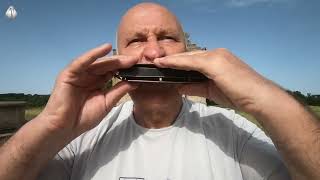 (W.A.Mozart) Sonata No 16 K545 1° Tempo for Harmonica