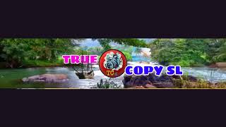 True Copy SL Live Stream